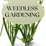Perennial Gardening Guide by GreenThumb Press Kindle eBook 38‑Page PDF-0