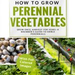 Shrub Gardening Handbook Kindle Guide GreenThumb Series-0