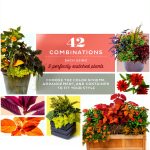 Storey Publishing Perennial Gardening eBook 273 Pages Kindle-0