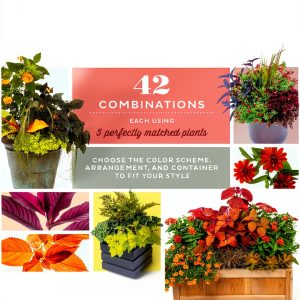 Storey Publishing Perennial Gardening eBook 273 Pages Kindle-0