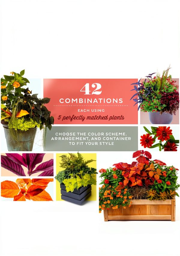 Storey Publishing Perennial Gardening eBook 273 Pages Kindle-0