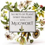 Plant Spirit Healing: Perennial House Plant Guide – Tribal Publishing-0